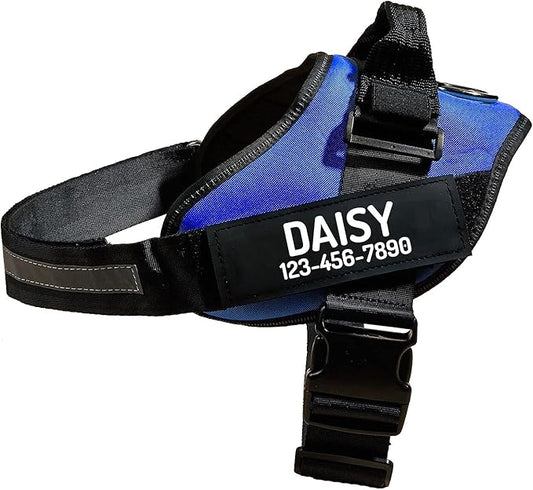 PawPawify Custom No Pull Dog Harness with Name and Phone Number, Heavy Duty Personalized Pet Vest to Prevent Tugging, Pulling, or Choking, Training and Walking (Blue, XL (Chest 28-35in))