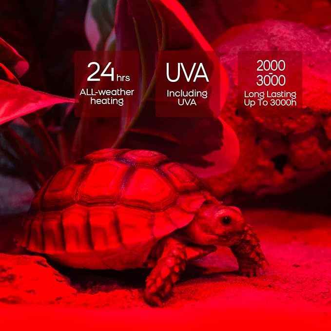 WACOOL 2 Pack Reptile Heat Lamp Bulbs,75W Infrared Basking Spot Light for Reptiles & Amphibians, Red Heat Lamp Bulb for Bearded Dragon Gecko Turtle Lizard