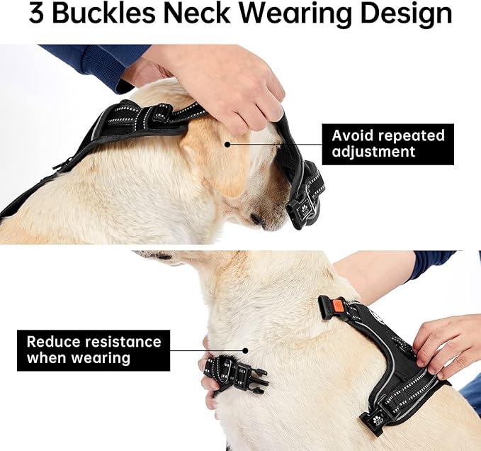 IVY&LANE No Pull Dog Harness for Small Dogs, Dog Vest Harness with Leash, Safety Belt and Storage Strap, Fully Adjustable Harness, 360° Reflective Strip, Soft Handle (Black, S)