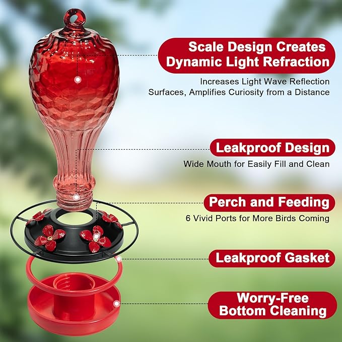 Glass Hummingbird Feeder for Outdoors with Ant Moat - Hand Blown Humming Bird Feeder, 5 Feeding Ports, Leak-Proof, 20 Ounces, Elegance Garden Decoration, Gift for Mom Dad Elderly