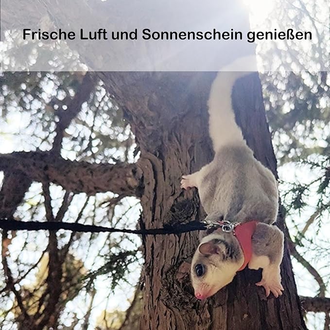 3 Pack Sugar Glider Harness and Leash Set Small Animal Training Walking Vest for Squirrel Hamster Rat-Brown