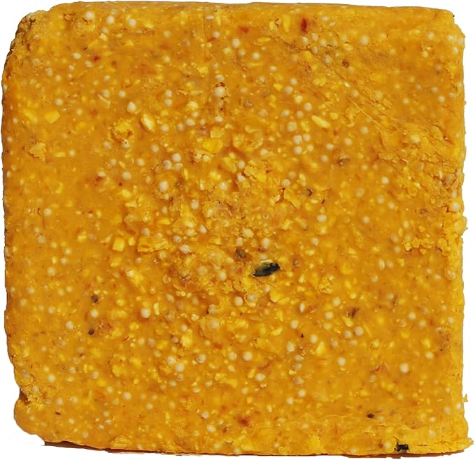 ST. ALBANS BAY SUET PLUS Suet Cake Variety Packs | 11 oz. Wild Bird Suet Cakes | (Hot Pepper, 10 Pack)