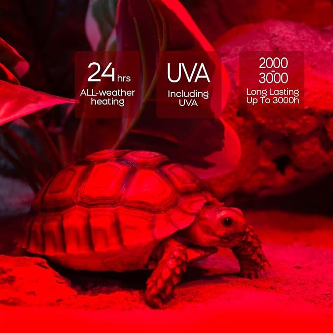 WACOOL 2 Pack Reptile Heat Lamp Bulbs,100W Infrared Basking Spot Light for Reptiles & Amphibians, Red Heat Lamp Bulb for Bearded Dragon Gecko Turtle Lizard