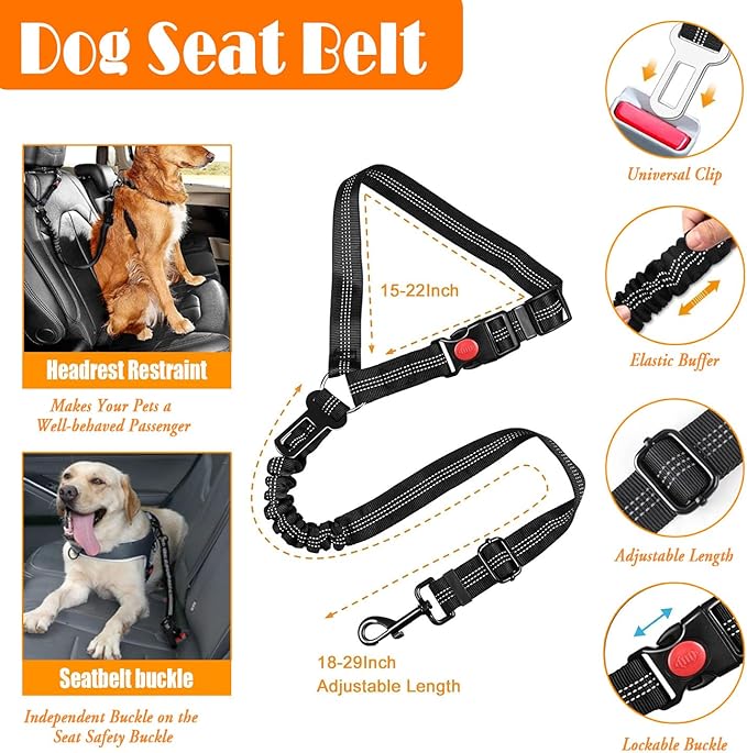 No Pull Dog Harness, Collar & Leash Set | Includes Dog Seat Belt, Collapsible Bowls & Poop Bag Dispenser. Ideal for Training, Walking, Hiking. Fits Small to Large Dogs(Orange-M)
