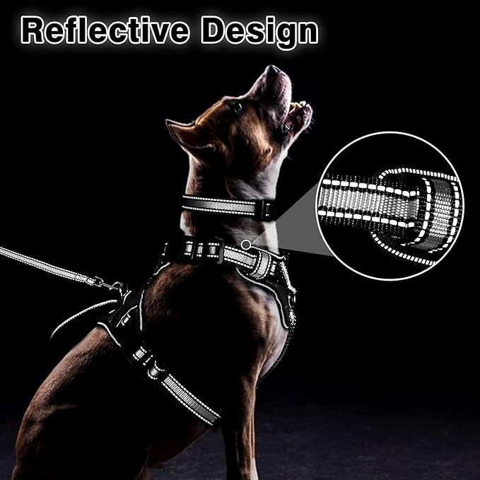 WINSEE Pet Harness Collar and Leash Set, All-in-one Reflective Dog Harness No Pull with Adjustable Buckles for Puppies, Small, Medium, Large, and Extra-Large Dogs (Small, Black)