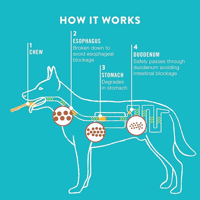 Collagen Rolls - 6" Collagen Rolls for Dogs - Long Lasting Healthy Joint Support Dog Treat - Rawhide Alternative - Skin & Coat Health - Made with Real Peanut Butter, 1 Bag, 4 Count