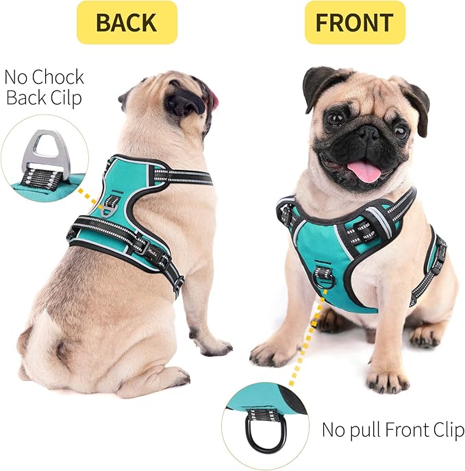 HEELE Dog Harness Dog Harness Small Dog No Pull Harness wiht Soft Handle Reflective Harness Adjustable, Turquoise, XS