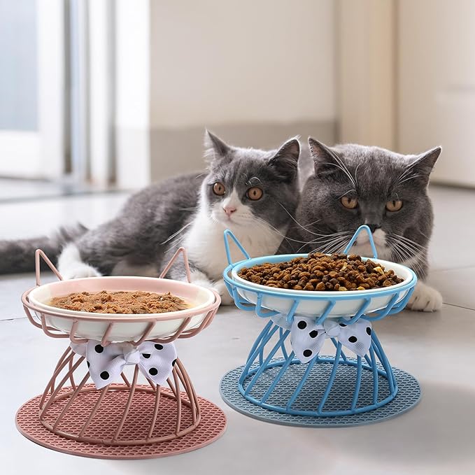 Raised Cat Food Bowl - Elevated Feeder Stand with Shallow Ceramic Dish, Whisker-Friendly No-Spill Water Bowl