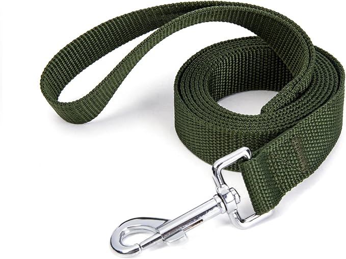 Strong Durable 6 ft Nylon Dog Training Leash, 1 Inch Wide Traction Rope, for Small and Medium Dog (Military Green, 6 Feet)