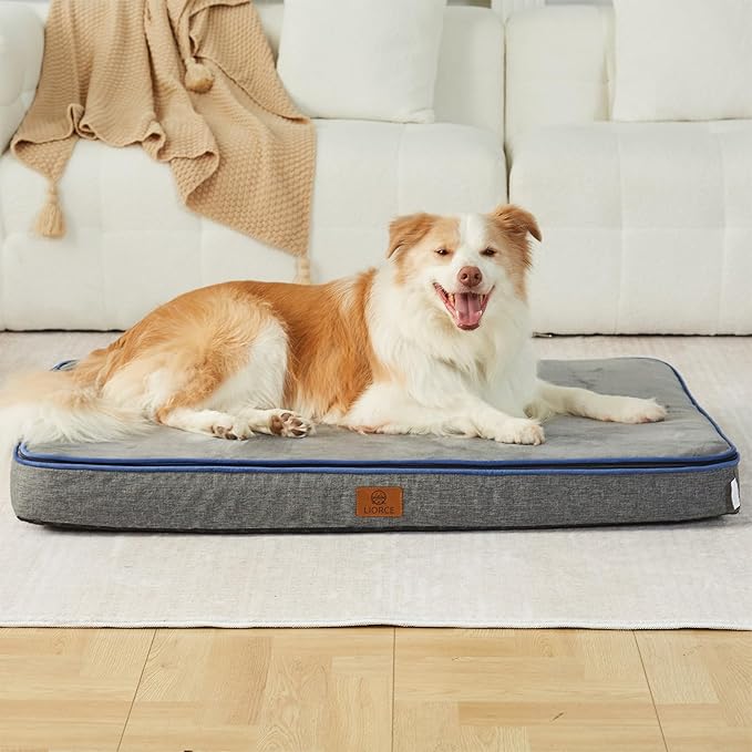 Memory Foam XL Dog Bed - 4” Thick Orthopedic Beds for Extra Large Dogs - Waterproof Dog Bed with Removable Washable Cover & Wrap-Around Zipper - Ultimate Comfort and Easy Maintenance