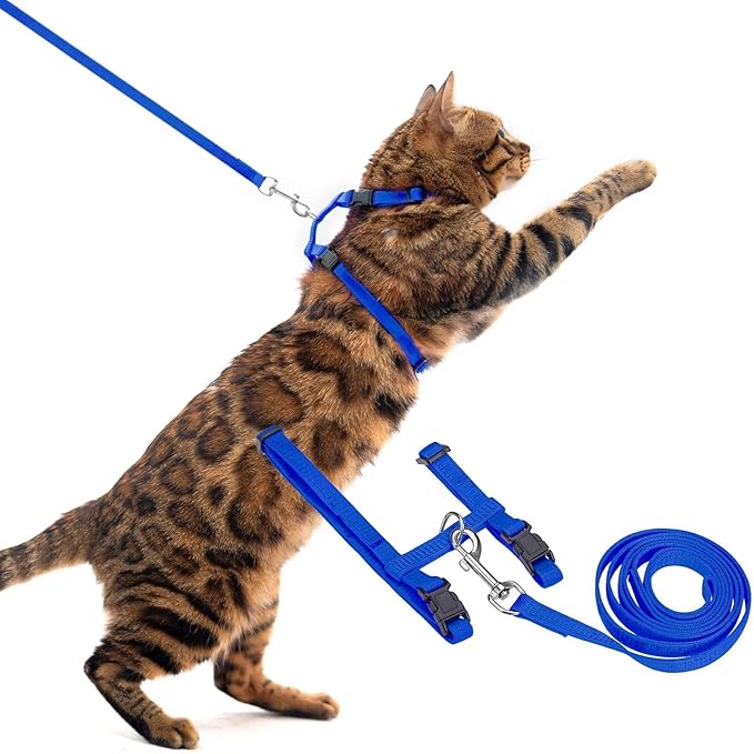 PUPTECK Adjustable Cat Harness and Leash Set Escape Proof Kitten Strap Collar for Walking Travel, Blue, M