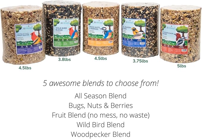 JCs Wildlife 5 Pack Premium Bird Seed Blend Large Cylinder with Hole Variety Pack