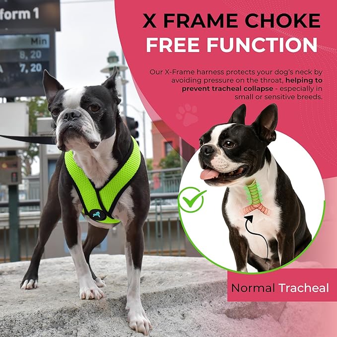 Gooby Comfort X Head In Harness - Green, Medium - No Pull Small Dog Harness Patented Choke-Free X Frame - Perfect on the Go Dog Harness for Medium Dogs No Pull or Small Dogs for Indoor and Outdoor Use