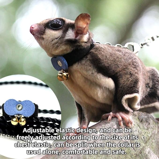 Sugar Glider Traction Rope Strap Anti-Biting Chain Rope, Small Animal Walking Collar Harness with Lead Leash for Hamster Gerbil Rat Mouse Ferret Chinchilla Squirrel (Black with Purple)