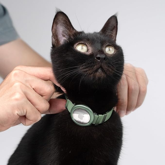 Safety Cat Collar - U.S. IDA Gold Award Design, Stretchy Elastic Quick Release Non Breakaway Cat Collar Light Weight for Kitten All Small Medium Large Cats (Olive, S (5.9-11.8 inch))