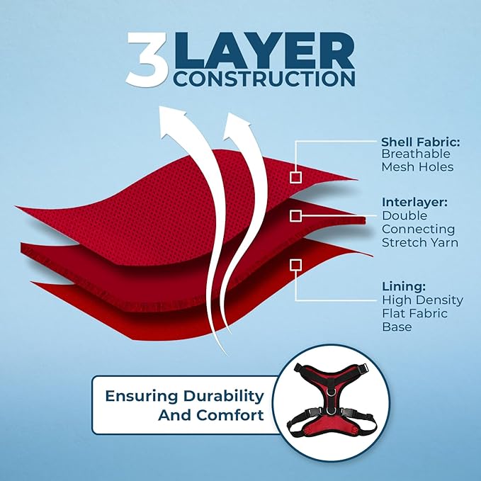 Voyager Step-in Lock Adjustable Cat Harness w. Cat Leash Combo Set with Neoprene Handle 5ft - Supports Small, Medium and Large Breed Cats by Best Pet Supplies - Red/Black Trim, S