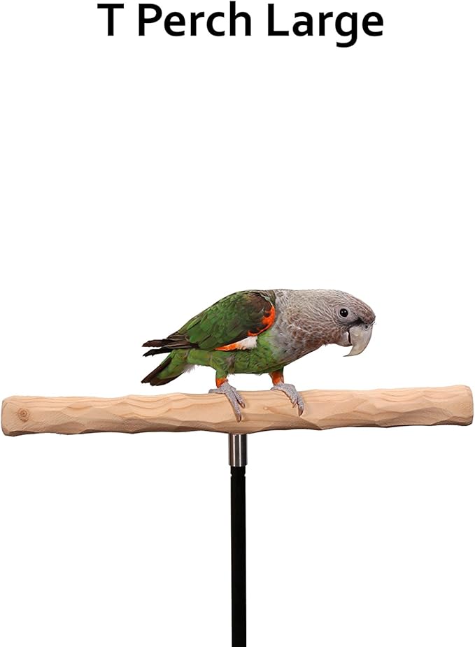 Parrot Training Perch Kit (T Perch, Large)