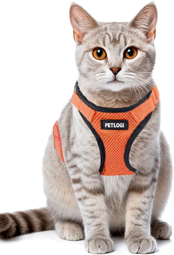 Cat Harness Escape Proof with Leash for Walking, Travel Vest Soft Chest Support, Adjustable Size, Escape Proof Soft Adjustable Vest Harnesses, Breathable, Kittens, Small Dogs (美/背縄/橙1/S)