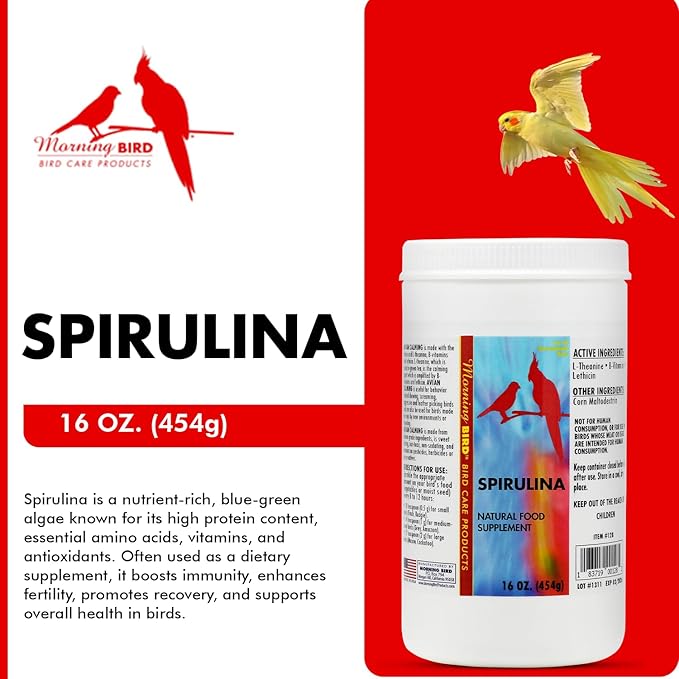 Morning Bird Spirulina, Supplement for Caged Birds, Organic Bird Food Supplement with Vitamins, Proteins, and Amino Acids for Parakeets, Cockatiels, Budgies, Finches, Canaries, and Parrots, 16 oz