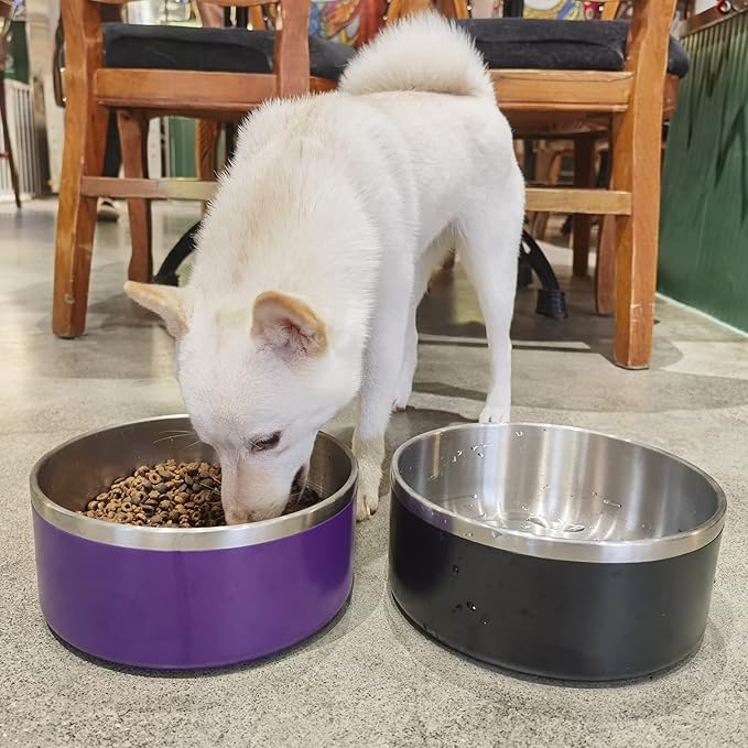 LIHONG Stainless Steel Dog Bowls for Large Dogs,Dog Food Water Bowls with Non Slip Rubber Bottom,Pet Feeding Bowl,Double Wall Insulated,Rustproof(64oz,Purple)