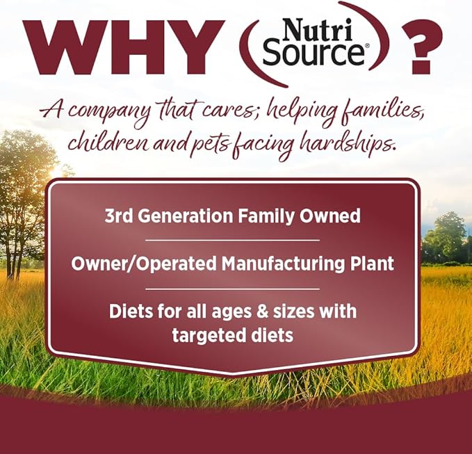 NutriSource Beef & Rice Recipe Dog Food, Premium Wet Dog Food, 12.3 Ounce (Pack of 12)