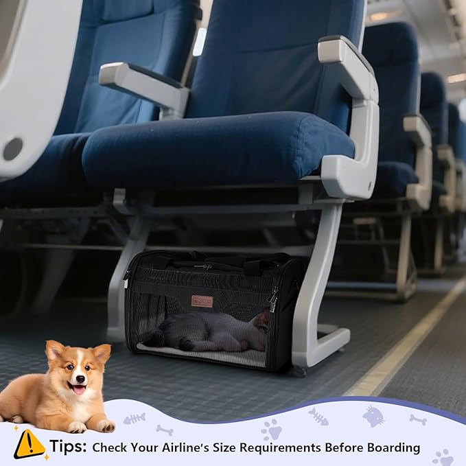 BALEINE Cat Carrier, Puppy Dog Carrier for Small Medium Pets Up to 15 Lbs, Soft-Sided Dog Travel Bag with Safety Zippers, Collapsible Pet Carrying Case (Black, L, 17"x11"x11")