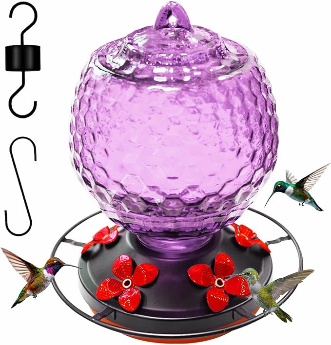 Glass Hummingbirds Feeder for Outdoors Hanging,25 OZ Humming Birds Feeder for Outdoors,Hummingbird Gifts(Purple)