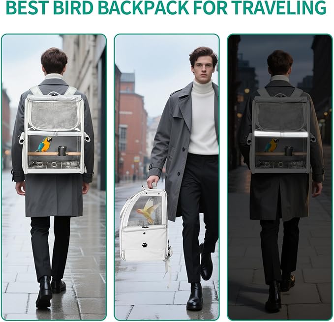 Bird Carrier Bag, Bird Travel Cage with Standing Perch and Indestructible Stainless Steel Mesh, Protable Transparent Breathable Carrier with Feeder Cups for Small Birds Parrot Parakeet, Grey