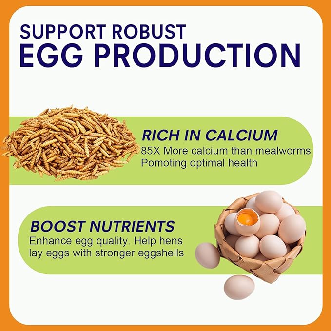 10lbs Dried Black Soldier Fly Larvae for Chickens - High Protein Chicken Food 100% Natural - BSF Larvae More Calcium Than Dried Mealworms, Chicken Treats for Laying Hens Ducks Birds