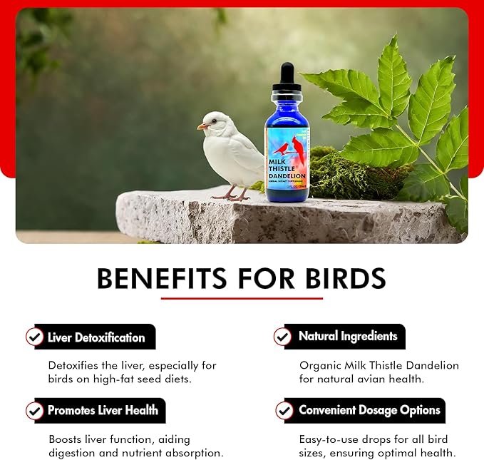 Morning Bird Milk Thistle & Dandelion Extract 2 fl oz - Organic Bird Supplement for Optimal Health – Support Liver Heath & Promotes Detox - Suitable for All Birds Species