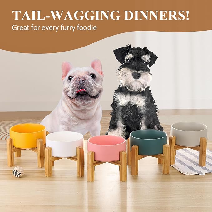 Ceramic Elevated Raised Cat Bowl with Wood Stand No Spill Pet Food Water Feeder Cats Small Dogs
