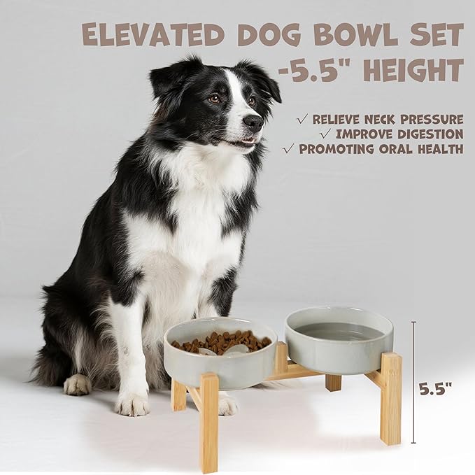 Elevated Slow Feeder Ceramic Dog Bowls Set for Meduim Size, Raised 2.7" Height, Cute Paw Slow Feeding Food Bowl and Water Bowl with Stand for Medium Breed, Size 6.3" Dx2 H, Non Slip, Grey