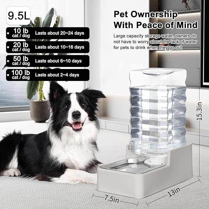 RIZZARI Stainless Steel Pet Water Feeder: 9.5L Automatic Leak-Proof Gravity Dispenser for 40-80 LB Senior Dogs with Spinal Issues - with Filter - Garage Kitchen Use
