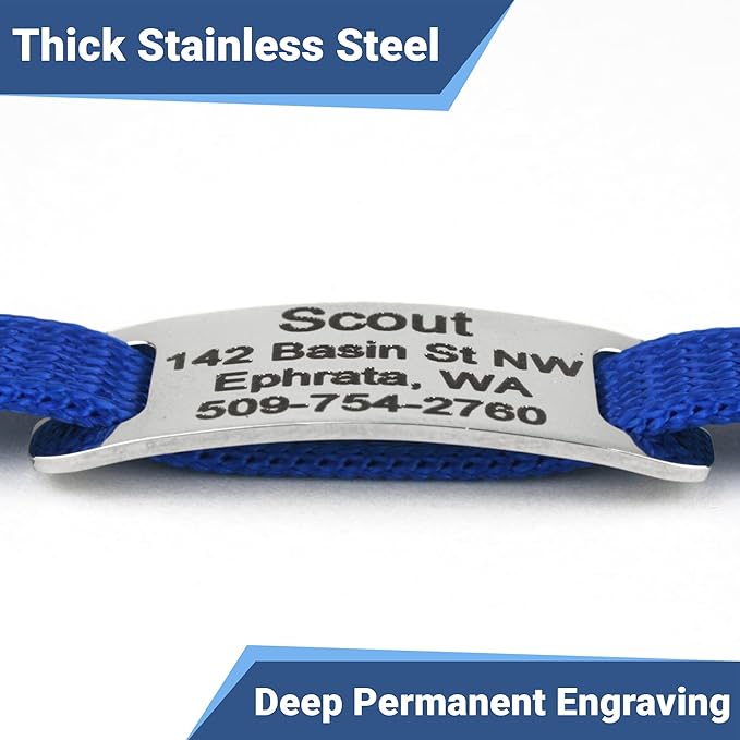 GoTags Personalized Cat Collars with Tag, Engraved Custom Cat Collar with Name and Phone, Breakaway Collar with Safety Buckle and Bell, Adjustable for Cats and Kitten (Red with Nameplate)