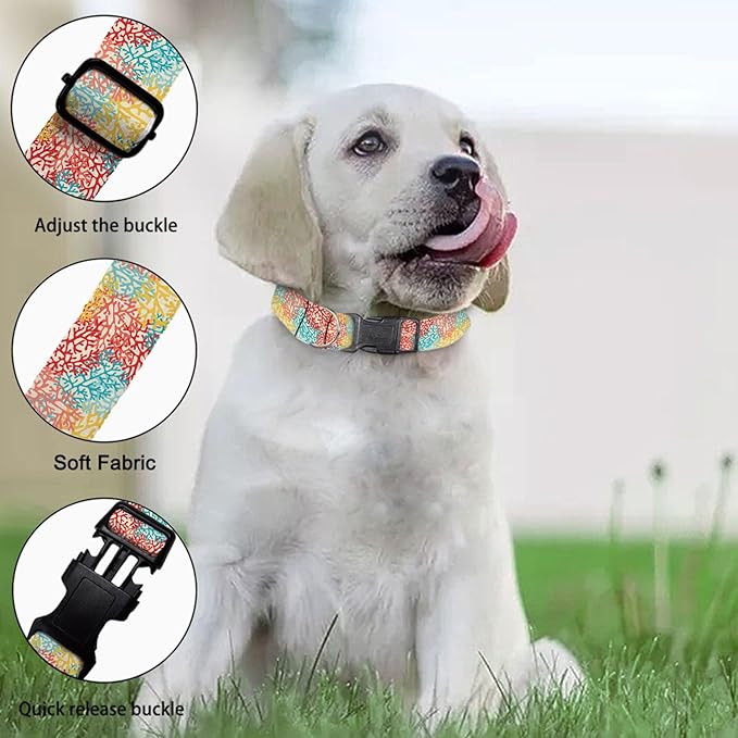Red Yellow Pink Seaweed Pet Collars Dog Collars Soft Elastic Neck Strap for Female Male Puppy Cats
