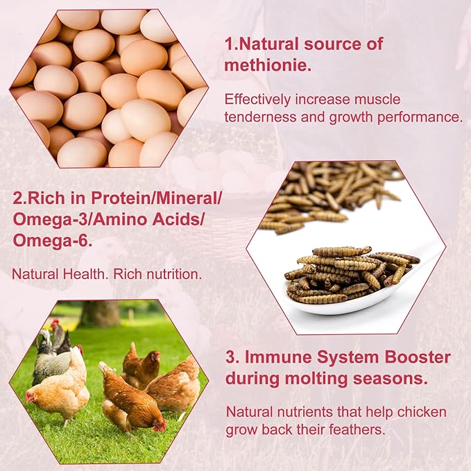 10LB Dried Black Soldier Fly Larvae for Chickens, Non GMO 86X More Calcium BSF Larvae Than Mealworms for Chickens & Birds, Natural Chicken Feed Bulk, Chicken Worms Treats, Wild Birdseed Attractant