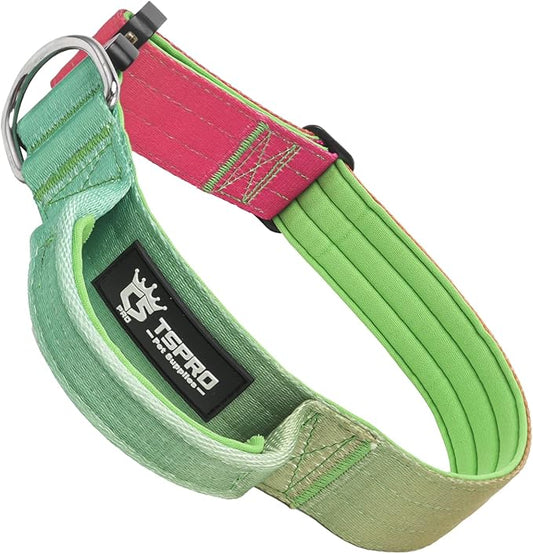 TSPRO Premium Dog Collars Tactical Dog Collar with Handle and Heavy Duty Quick-Release Metal Buckle Durable Thick and Adjustable for Medium to Large Dogs (Vitality Gradient L)