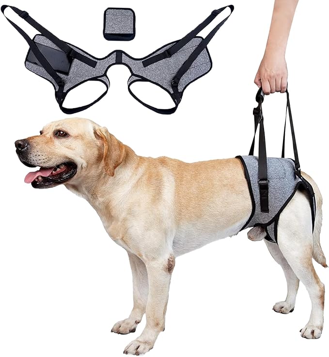 Dog Sling for Large Dogs Hind Leg Support Dog Lift Harness Adjustable Durable Help em up Harness for Weak Back Legs, Elderly, Injured, Senior, Arthritic, ACL Recovery Pet