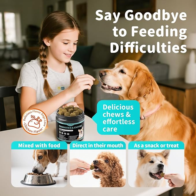 Probiotics for Dogs, Digestive Enzymes for Gut Health Support, Dog Fiber Supplement with Pumpkin for Diarrhea & Bowel Support, Upset Stomach & Gas Relief, Constipation - 90 Count Chicken Flavor