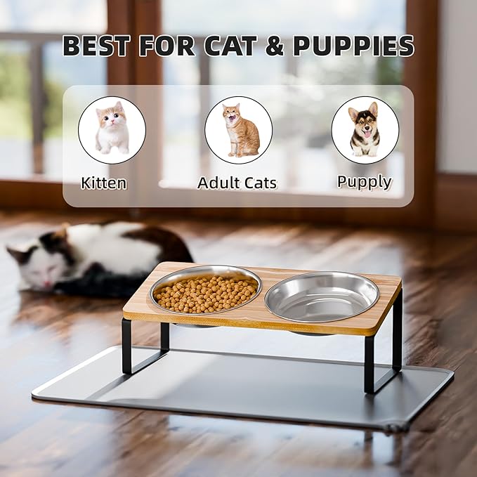 Elevated Whisker Friendly Cat Bowls, 15 Tilted Stand Anti Vomiting Raised Dishes for Food and Water, Stainless Steel Bowls for Cats and Puppy
