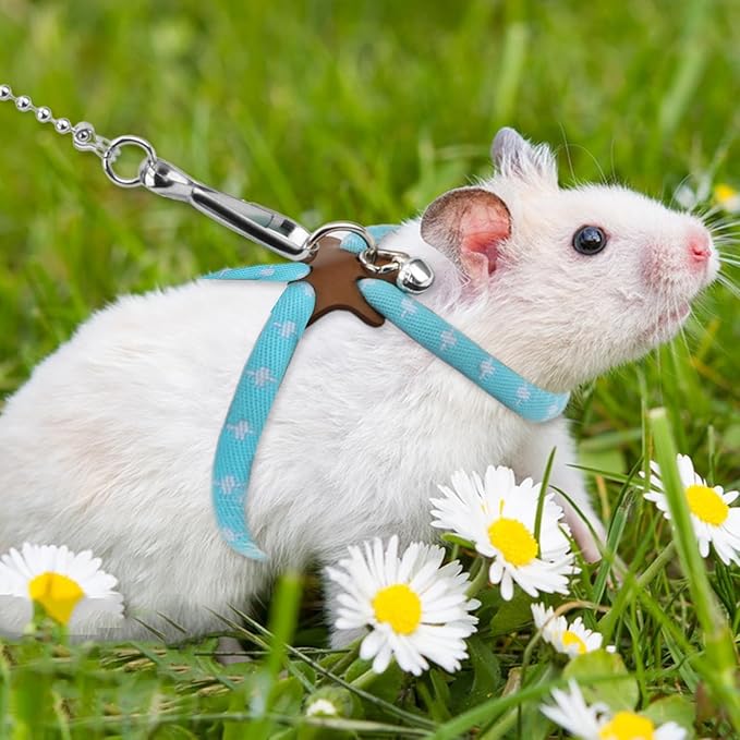 Hypeety Hamster Adjustable Training Lead Leash Nylon for Hamster Rat Squirrel Gerbil Pet Cage Playhouse Leashes Band Finder Collar Bell (Blue)