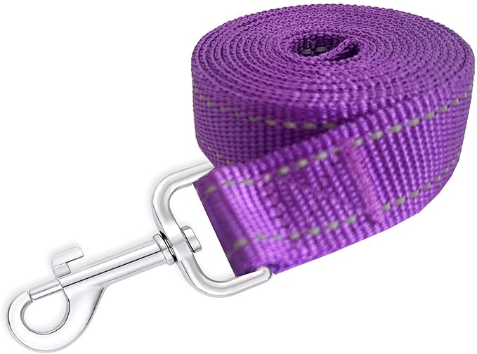 Reflective Dog Leash 4Ft /5 Foot /6 Feet Long, 1 Inch Wide, for Small and Medium Dogs