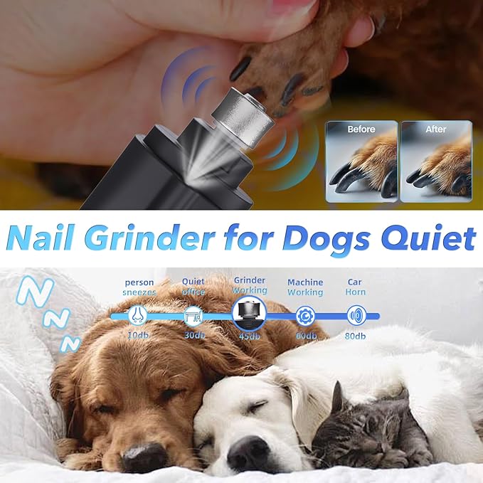 2 in 1 Dog Nail Clippers and Grinder with Lights & Cat Nail Clipper for Large Medium Small Dogs Cats Nail Trimmers USB Rechargeable with 2 LED Lights Dog Claw Care for Non-Black Nails