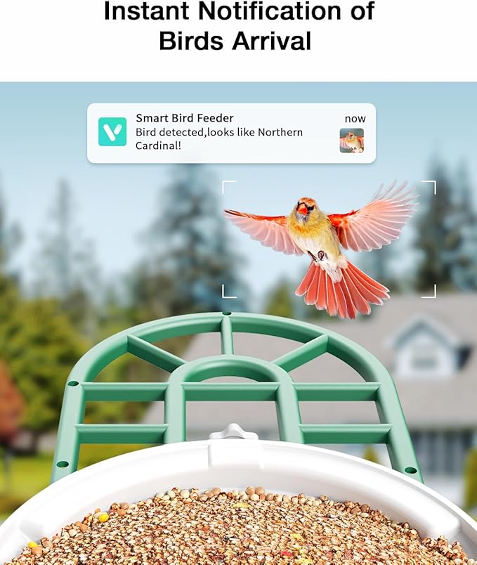 Bird Feeder with Camera - Supports AI Identify Species, 2K Live Video, Arrival Alerts, Solar Powered Bird House Camera, Wireless Wild Birds Feeder for Outdoors, Remote Access to Watch Birds