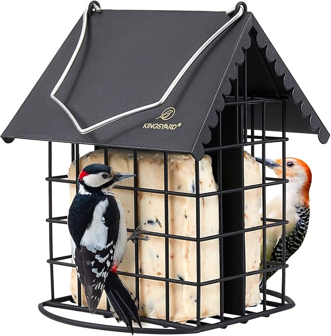 Kingsyard Double Suet Bird Feeder with Weatherproof Roof & Perch, All Metal, Suet Cakes Cage Bird Feeder for Outdoors Hanging, Easy to Clean & Refill, Black