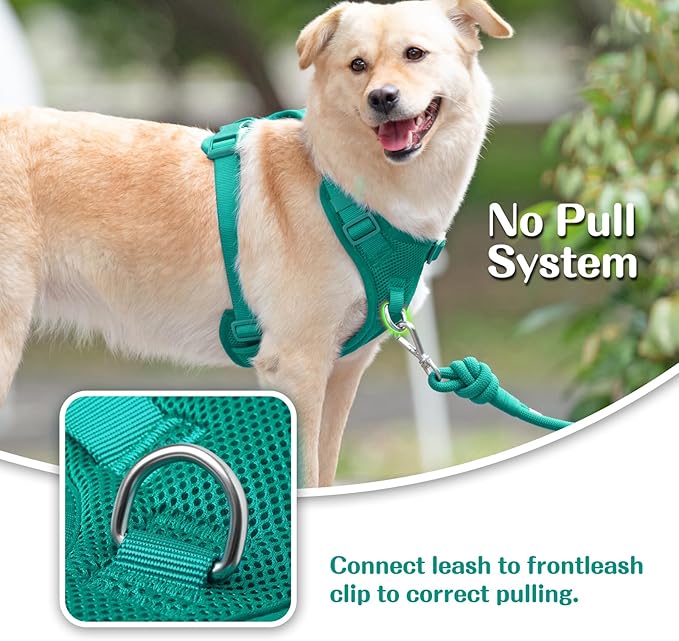 No Pull Dog Harness for Small Medium Large Dogs - Adjustable Two-Layer Mesh Dog Vest with Dual Clip, Escape Proof, Quick Release, Lightweight Breathable Mesh for Walking Hiking (MARRS Green,L)