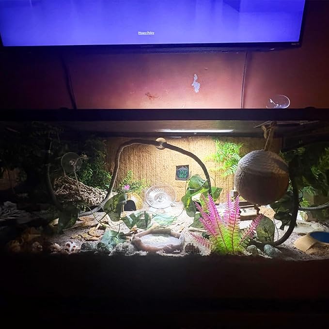 Leopard Gecko Coconut Hut with Ladder,Grested Gecko Coco Den Lizards Hanging Coconut Shell Hideout Cave Reptiles Tank Accessories Climbing Hanging Plants Jungle Vine Flexible Leaves Decor