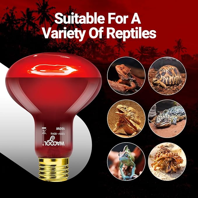 WACOOL 4 Pack Reptile Heat Lamp Bulbs,100W Infrared Basking Spot Light for Reptiles & Amphibians, Red Heat Lamp Bulb for Bearded Dragon Gecko Turtle Lizard (75, Watts)…