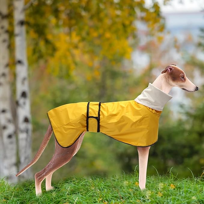 Dog Raincoat with Reflective Bar, Rain/Water Resistant, Adjustable Vest - Dog Raincoats for Greyhounds, Lurchers and Whippets - Yellow - M