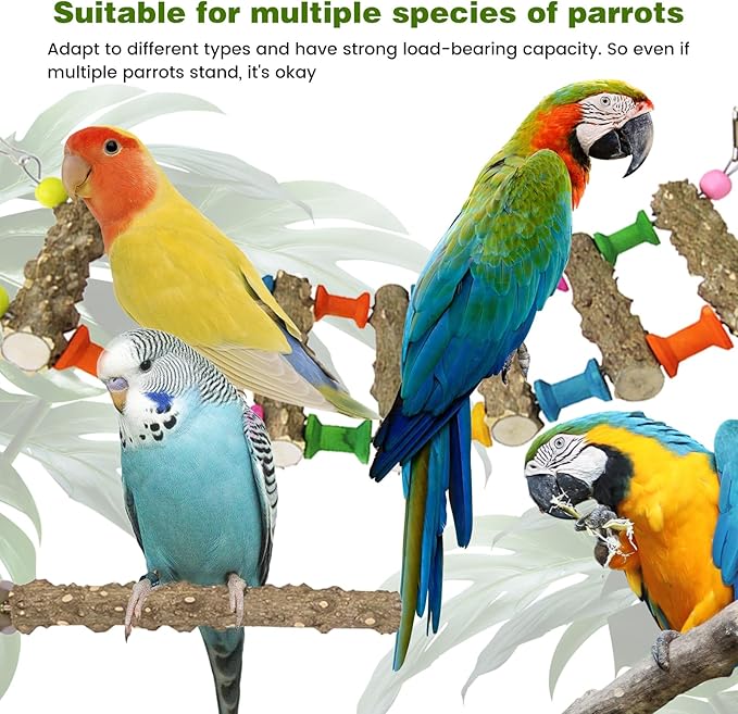 Parrot Cage Accessories-Pure Wood Parrot Perches Toys,Climbing Ladder,Bird Rotating Perch,Bird Swing,Suitable for Parakeet,Conure,Cockatiel,Mynah,Love Birds Finches